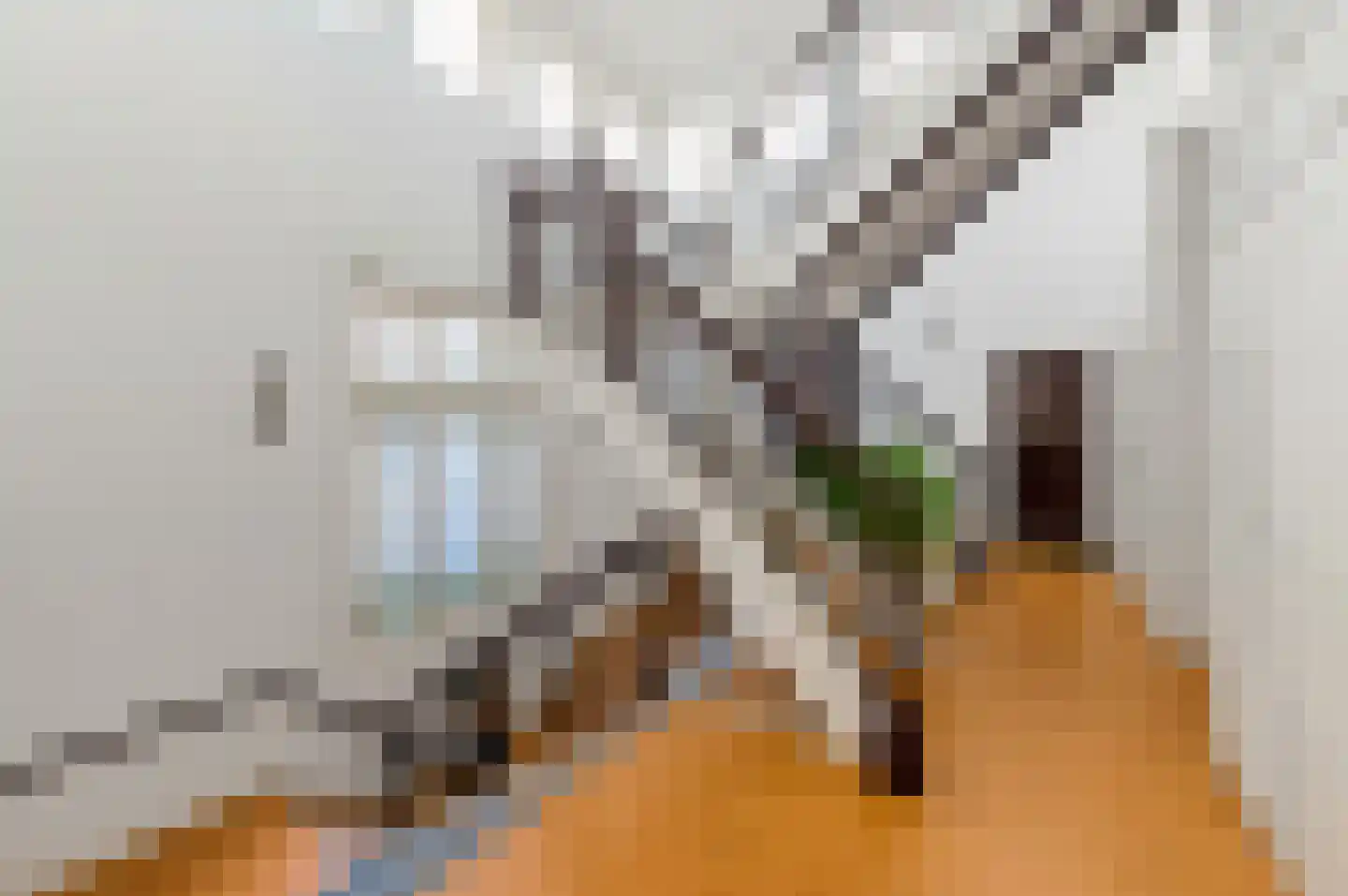 Hooftskade 71 Den Haag thumbnail 9