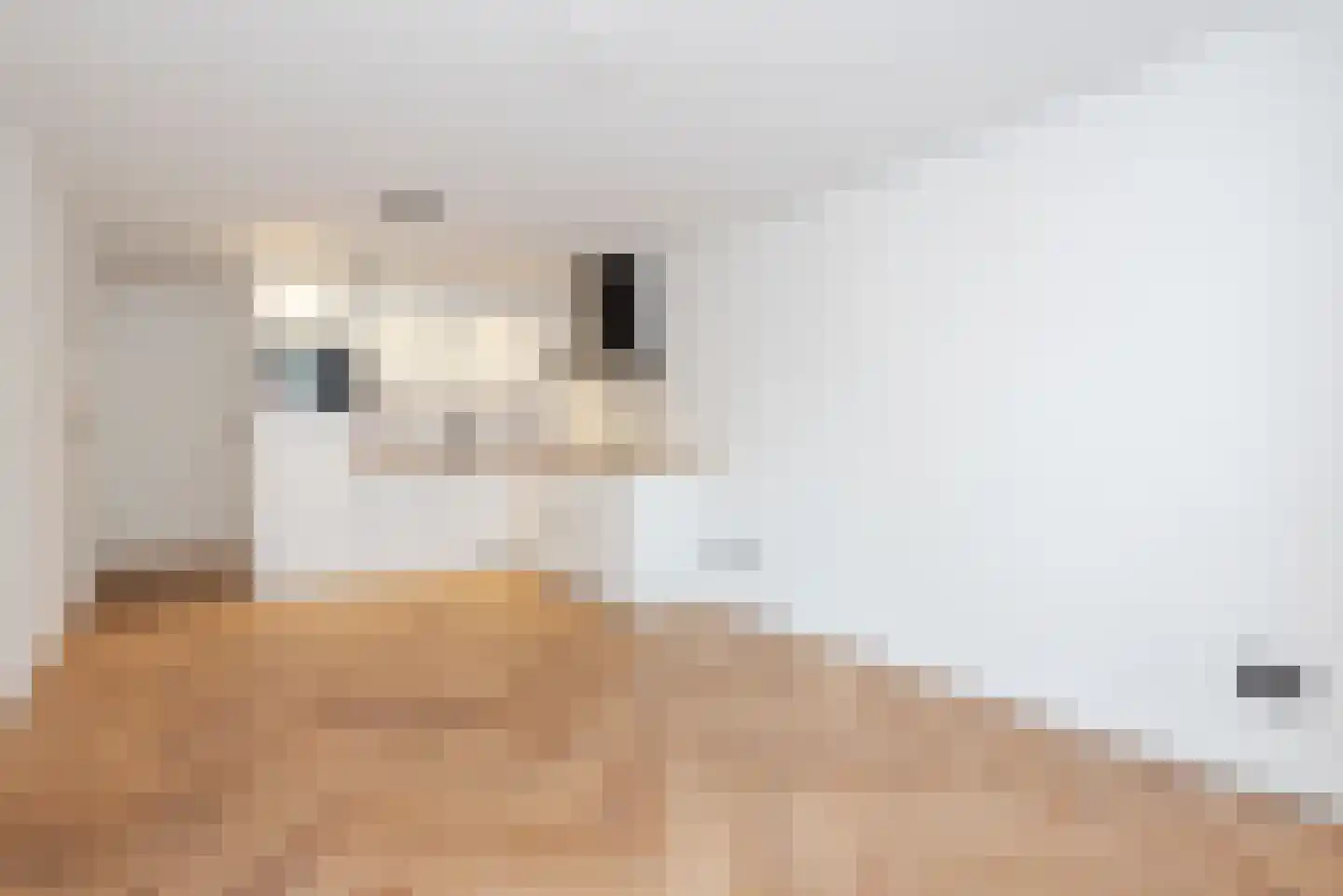 Hooftskade 92 A Den Haag thumbnail 9