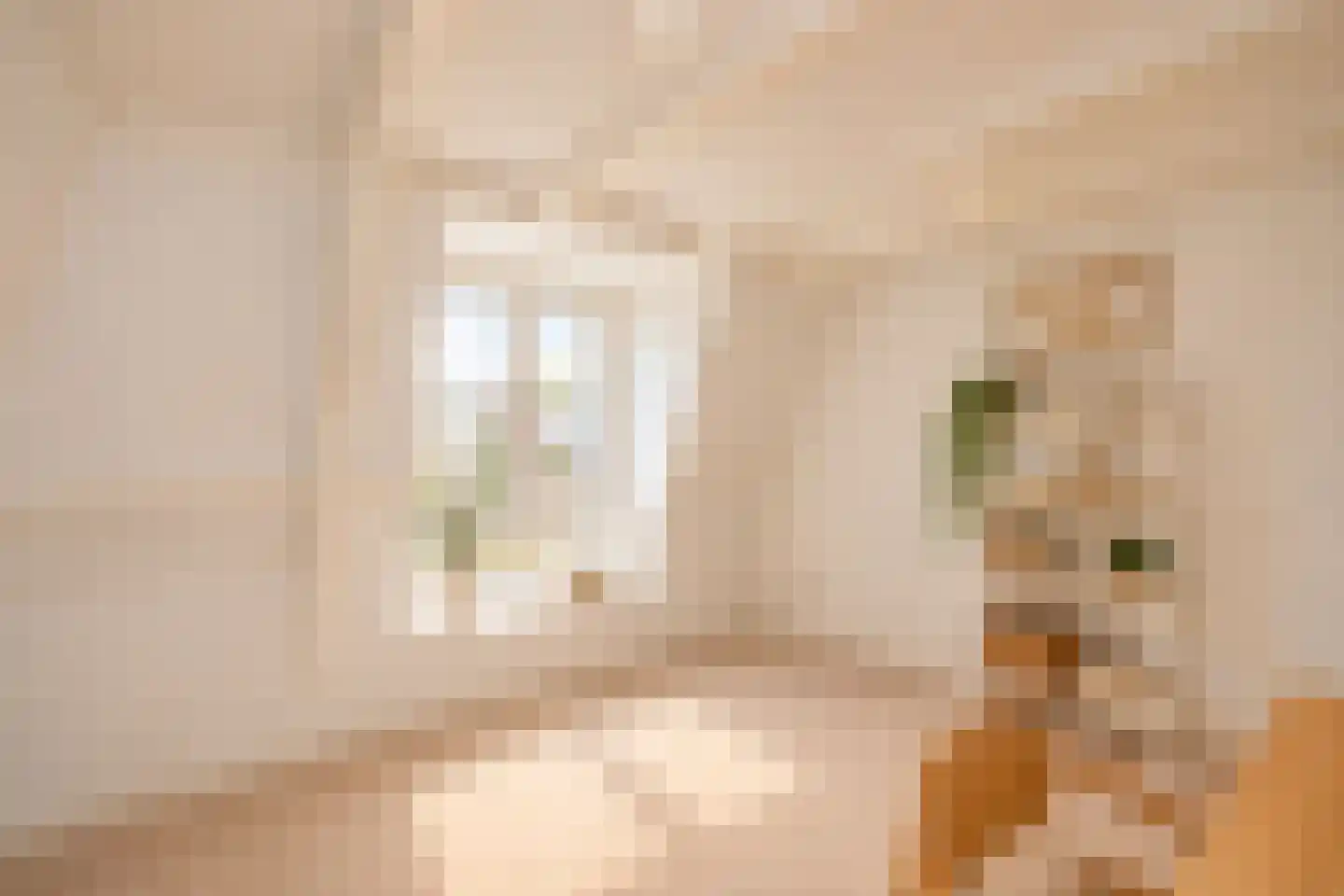 Hooftstraat 123 Alphen aan den Rijn thumbnail 32