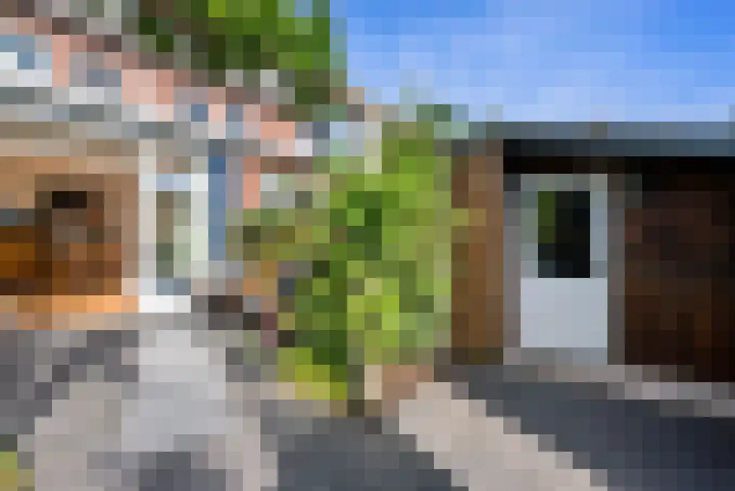 Hooftstraat 234 Alphen aan den Rijn thumbnail 14