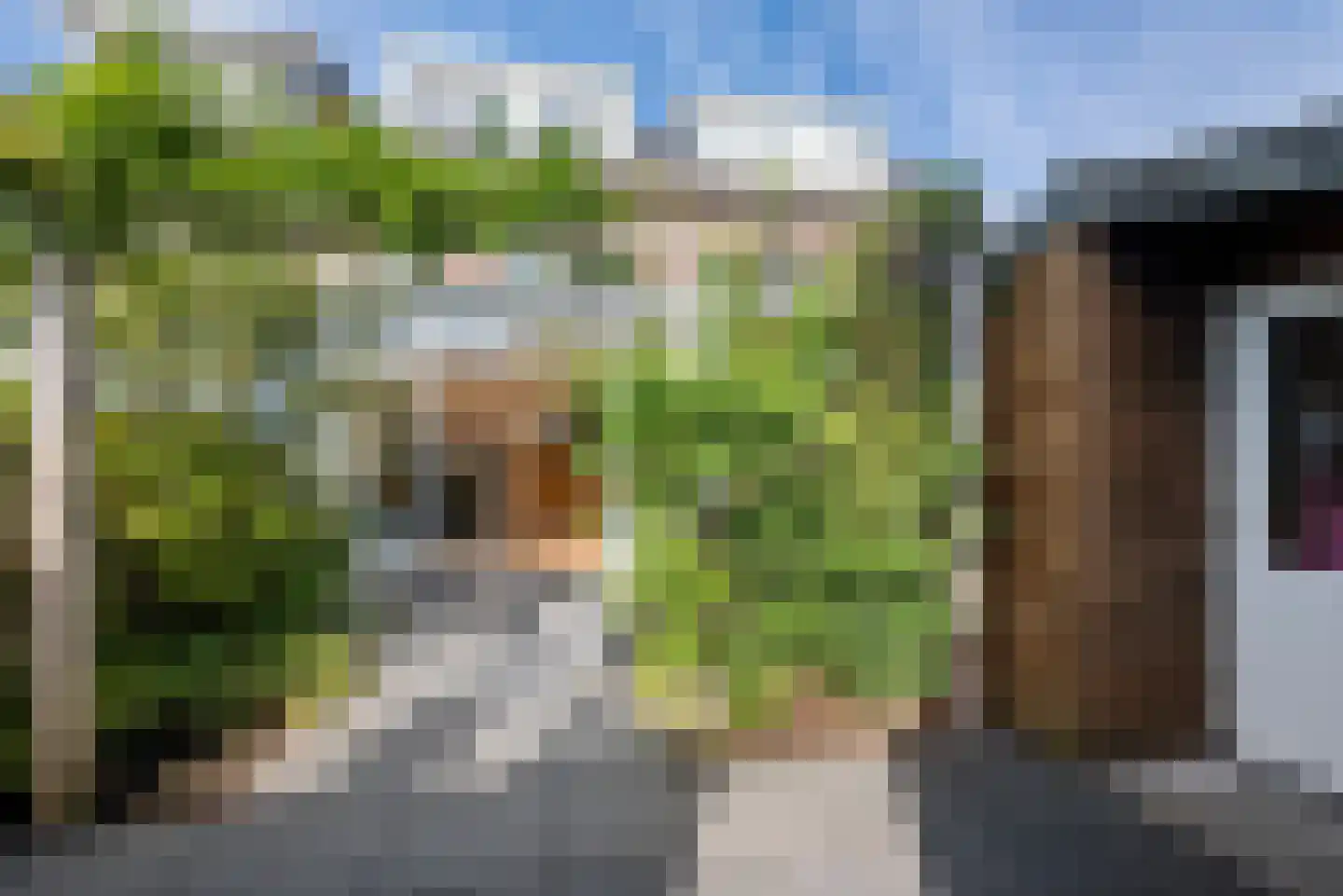 Hooftstraat 234 Alphen aan den Rijn thumbnail 15