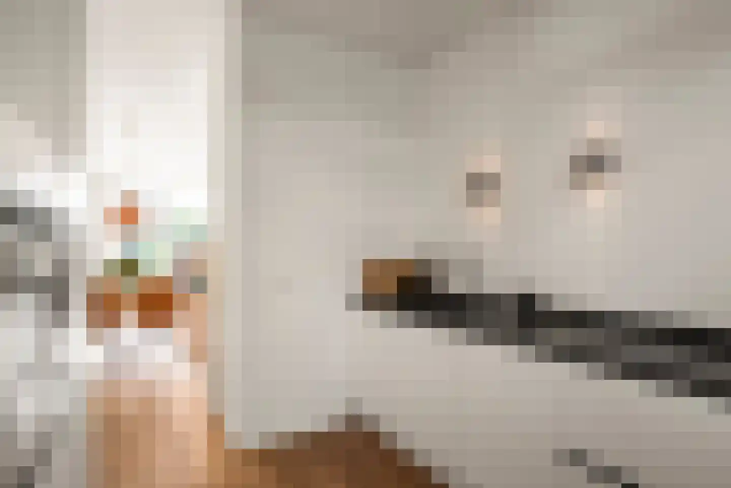 Hooftstraat 234 Alphen aan den Rijn thumbnail 24