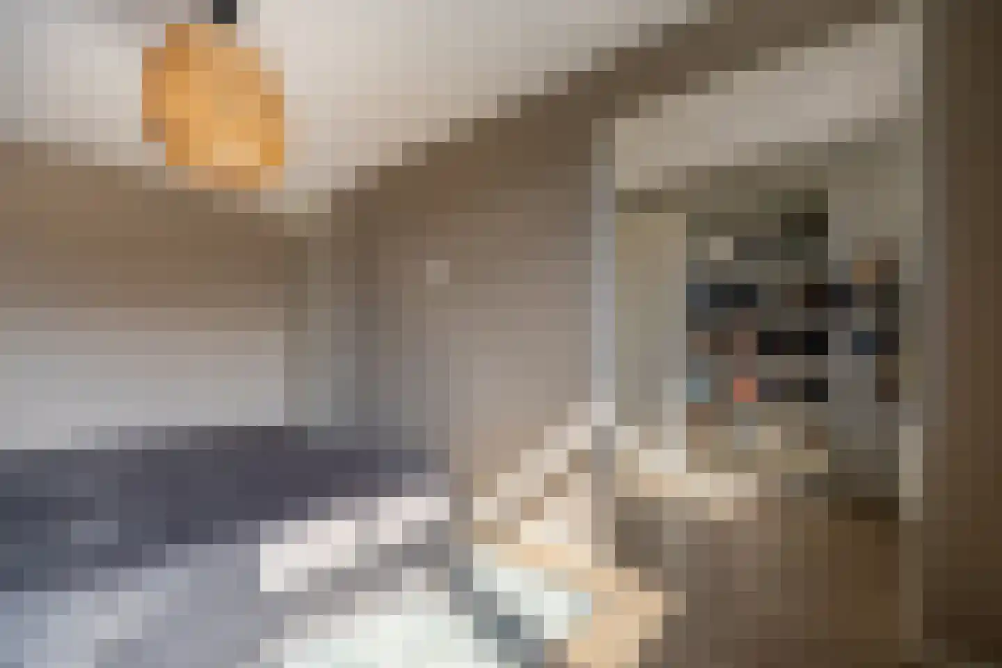 Hooftstraat 26 Alphen aan den Rijn thumbnail 15