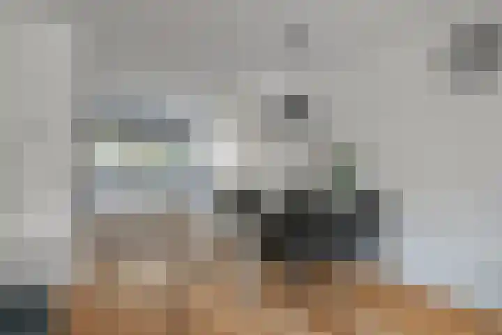Hooftstraat 27 Bergschenhoek thumbnail 13