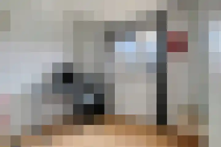 Hooftstraat 27 Bergschenhoek thumbnail 16