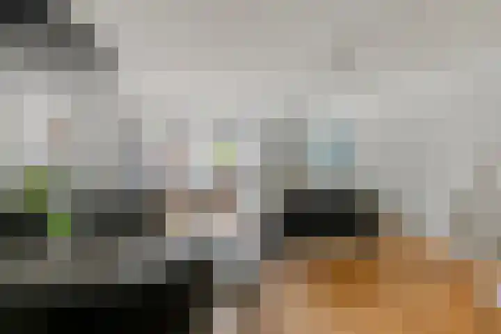 Hooftstraat 27 Bergschenhoek thumbnail 7