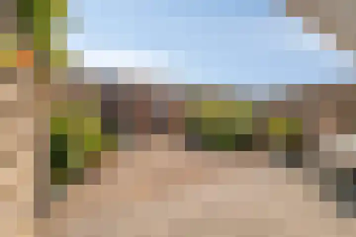 Hooftstraat 27 Bergschenhoek thumbnail 9