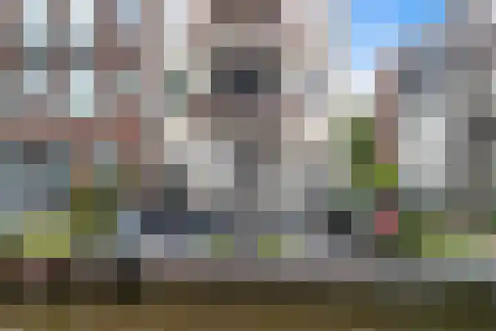 Hooftstraat 31 Alphen aan den Rijn thumbnail 4