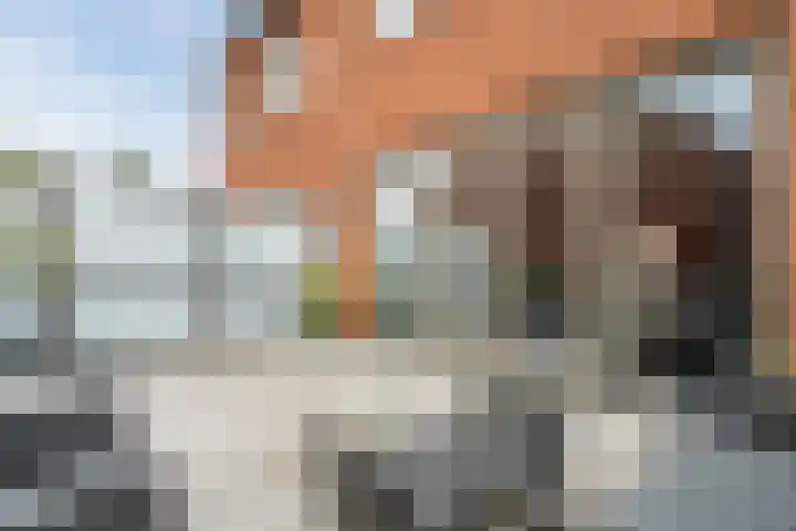 Hooftstraat 4 Alkmaar thumbnail 30