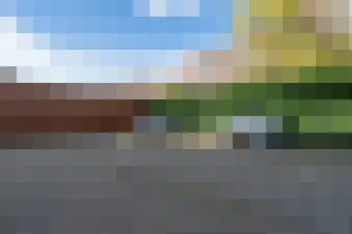 Hooftstraat 51 Alkmaar thumbnail 30