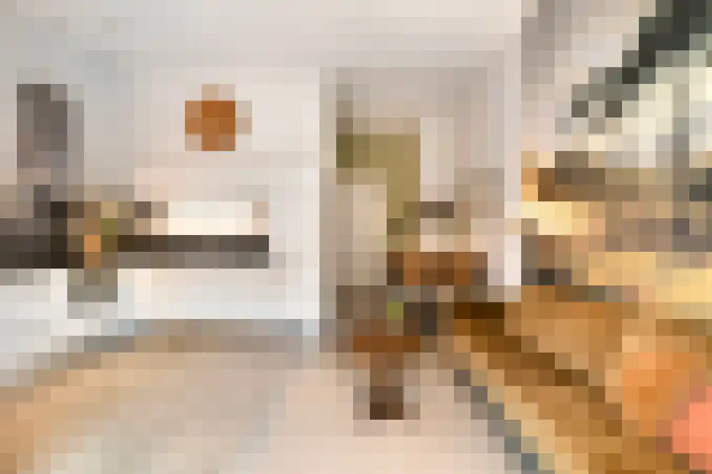 Hooftstraat 55 Alkmaar thumbnail 10