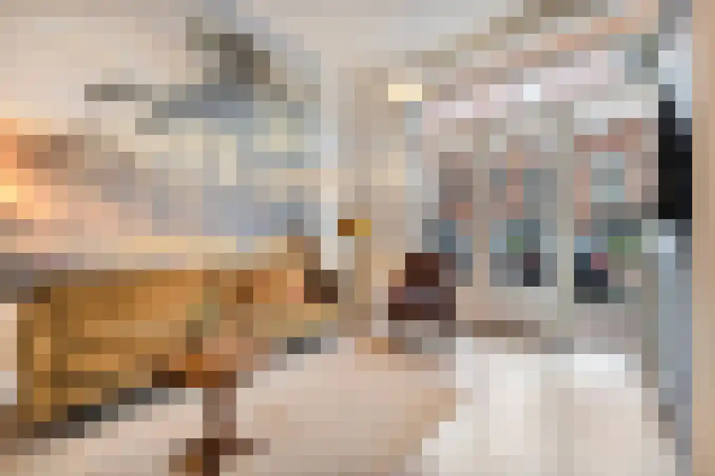 Hooftstraat 55 Alkmaar thumbnail 11