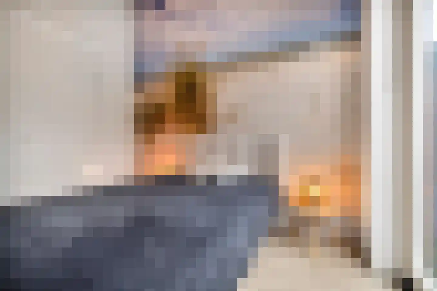 Hooftstraat 55 Alkmaar thumbnail 17