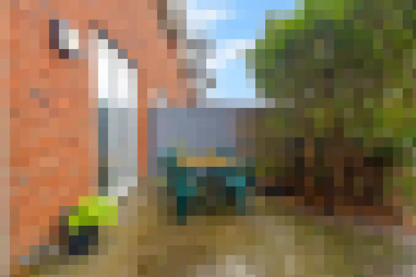 Hooftstraat 55 Alkmaar thumbnail 28