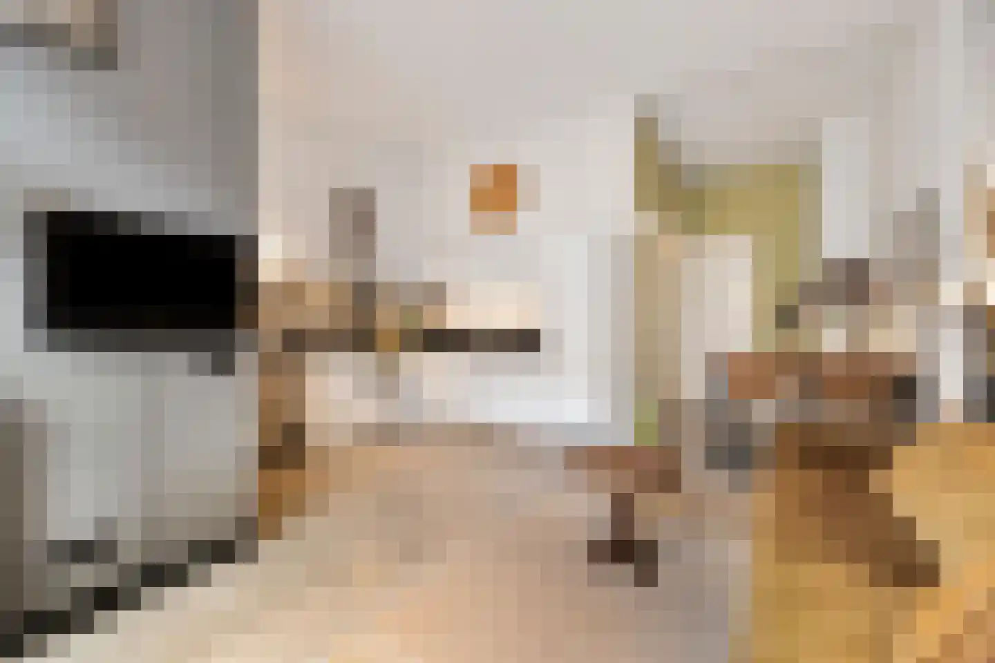 Hooftstraat 55 Alkmaar thumbnail 9
