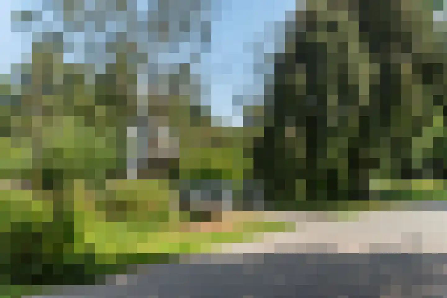 Hooftstraat 56 Dordrecht thumbnail 30