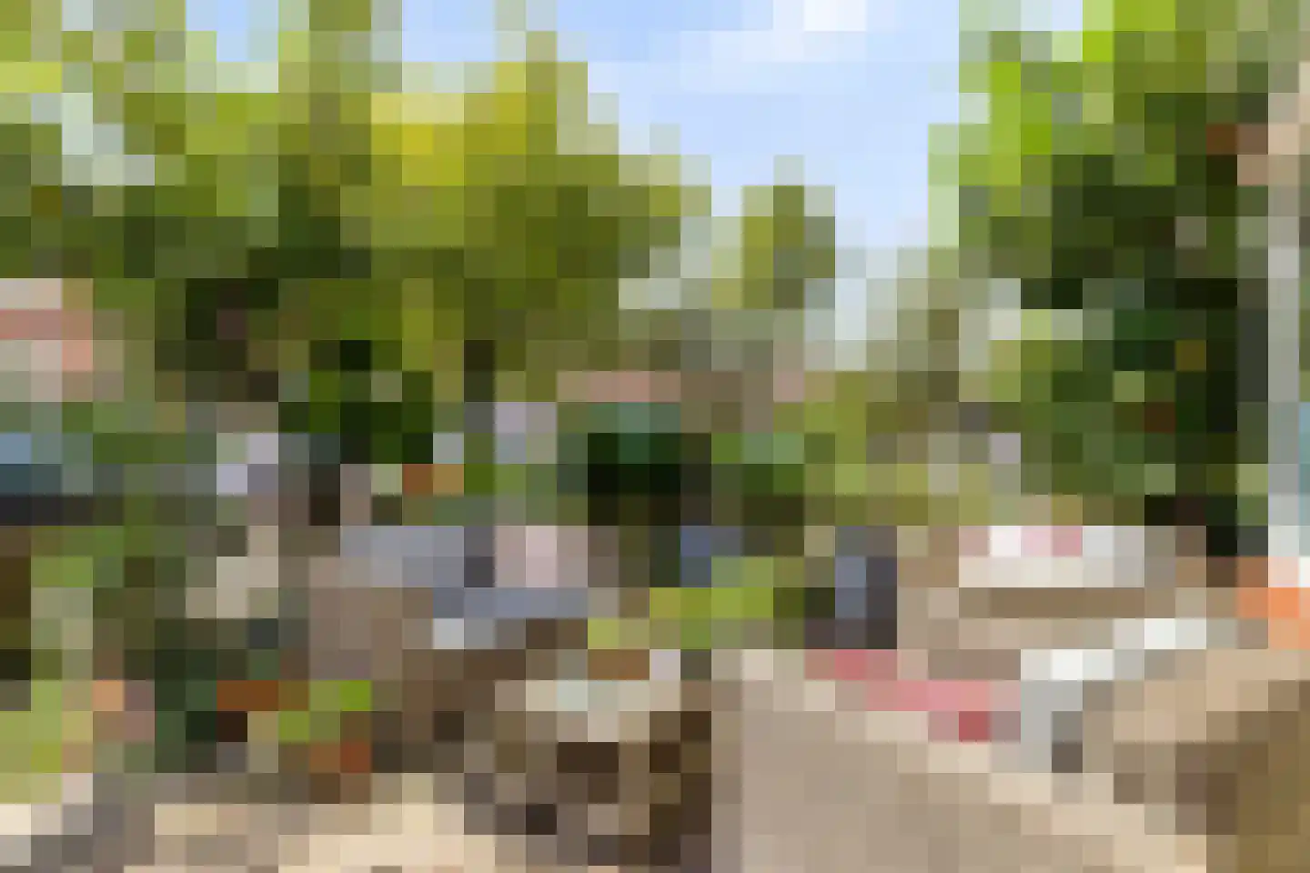 Hooftstraat 65 Dordrecht thumbnail 30