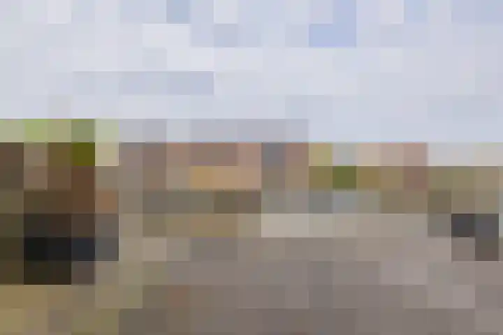 Hooftstraat 77 A Alphen aan den Rijn thumbnail 25