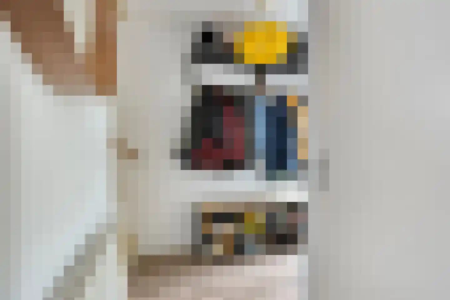 Hooftstraat 8 Bergschenhoek thumbnail 17