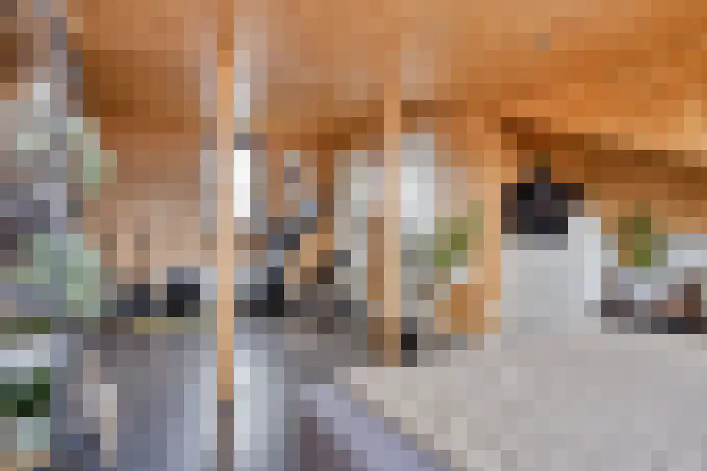Hooftstraat 8 Bergschenhoek thumbnail 30