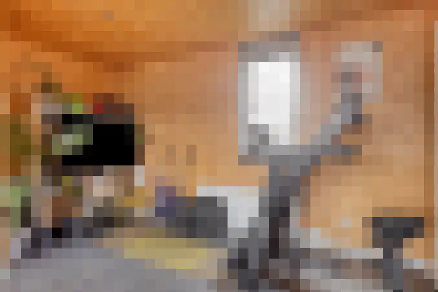Hooftstraat 8 Bergschenhoek thumbnail 31