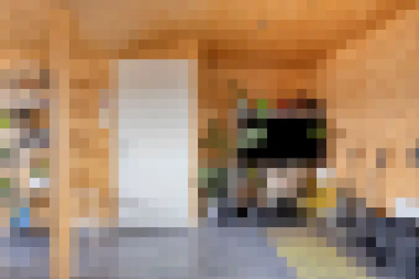 Hooftstraat 8 Bergschenhoek thumbnail 32