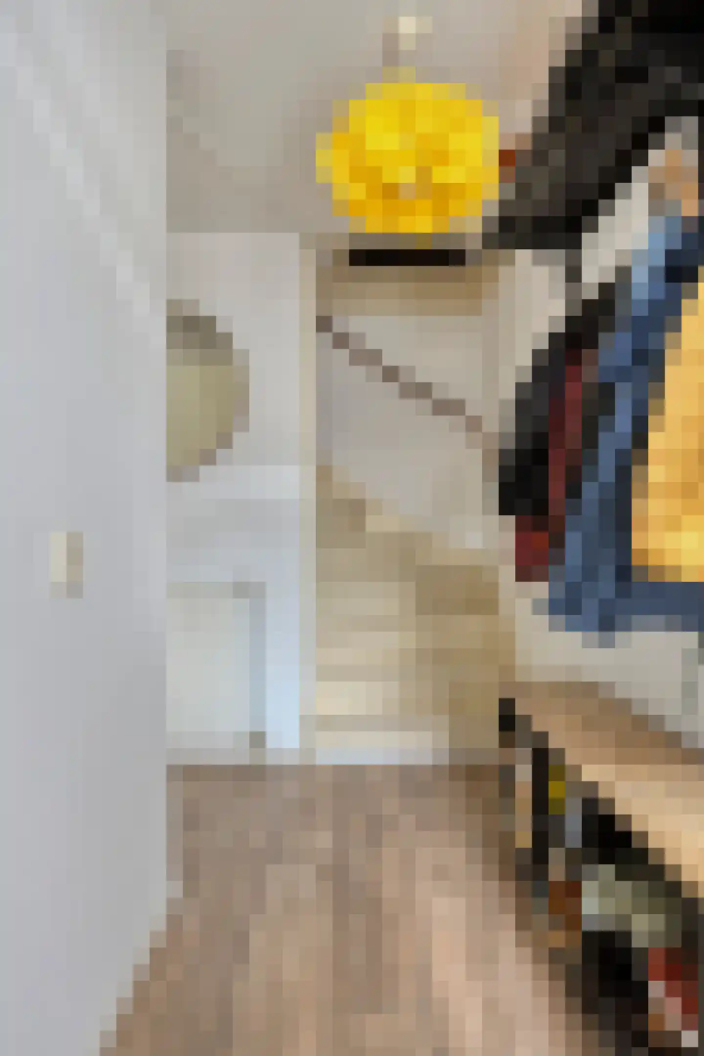 Hooftstraat 8 Bergschenhoek thumbnail 5