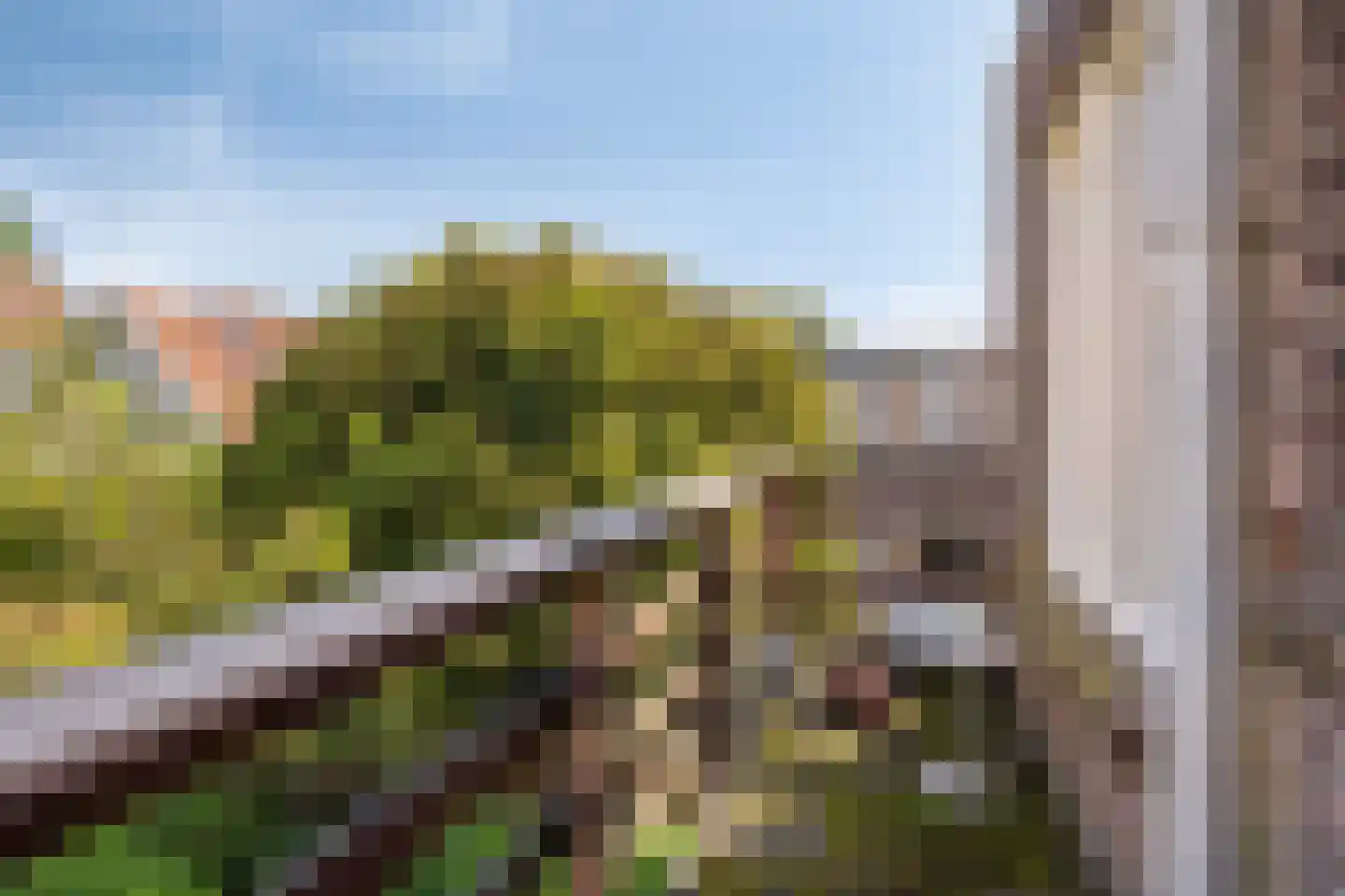 Hooftstraat 99 Dordrecht thumbnail 4