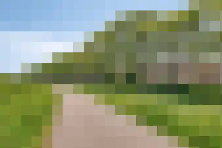 Hooftweg 107 Geervliet thumbnail 34