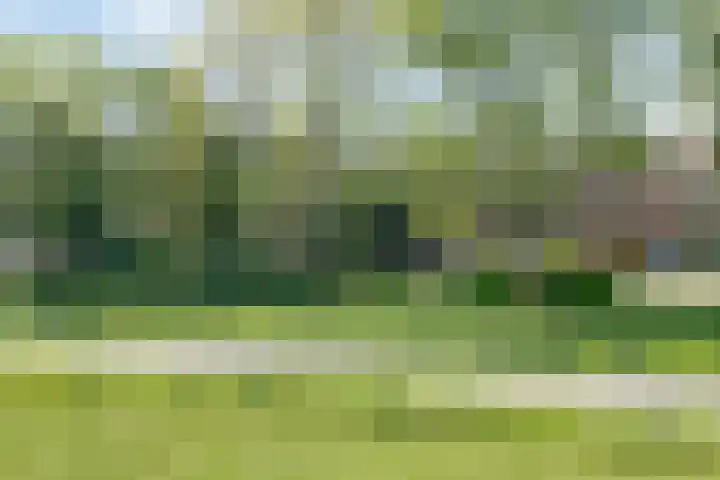 Hooftweg 107 Geervliet thumbnail 35