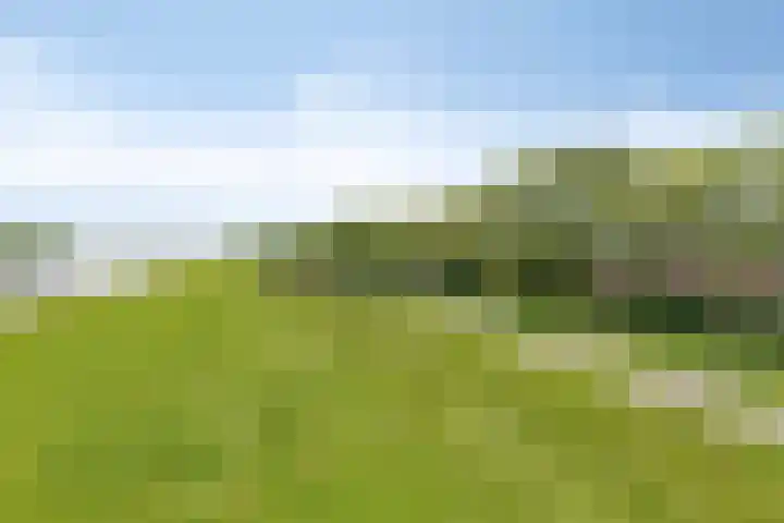 Hooftweg 107 Geervliet thumbnail 36