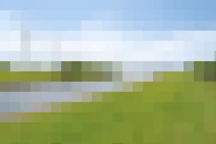 Hooftweg 107 Geervliet thumbnail 37