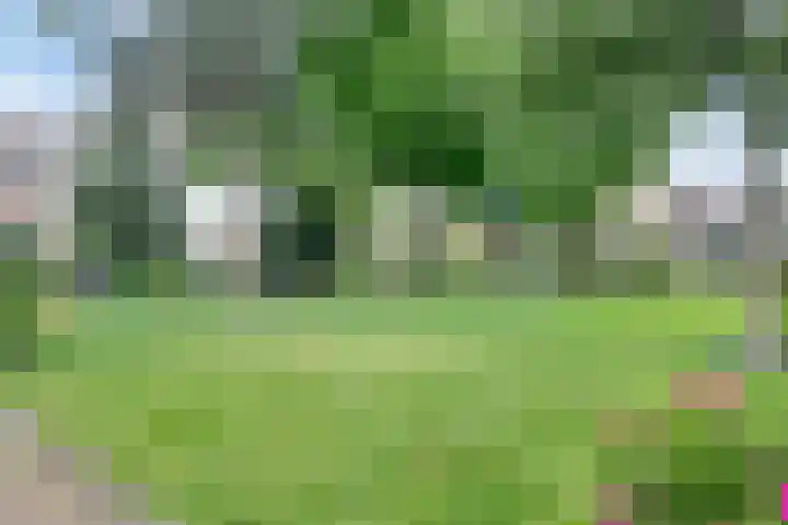 Hooftweg 107 Geervliet thumbnail 38