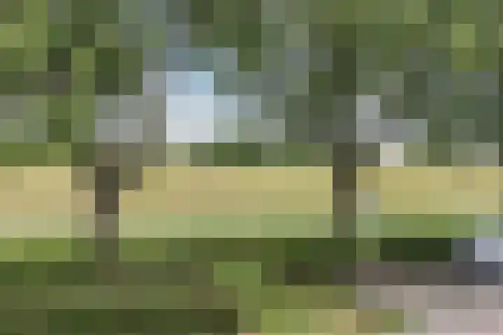 Hooftweg 69 Geervliet thumbnail 31