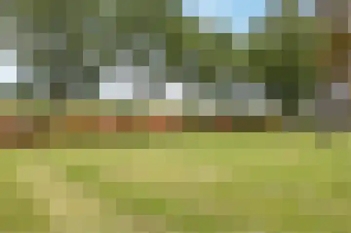 Hooftweg 69 Geervliet thumbnail 43