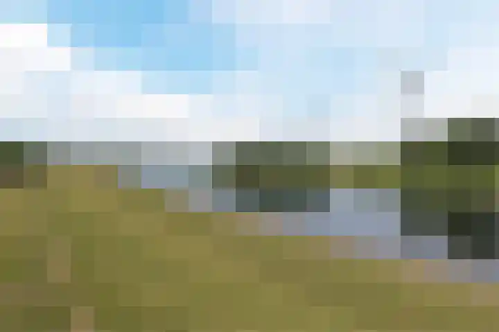 Hooftweg 69 Geervliet thumbnail 44