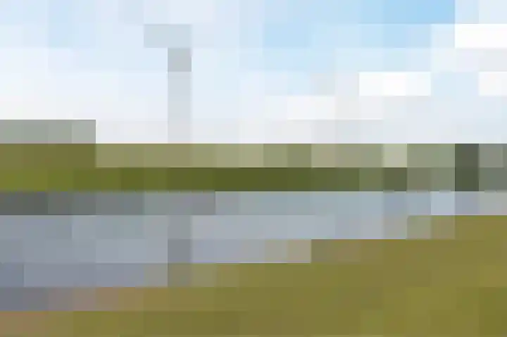 Hooftweg 69 Geervliet thumbnail 45