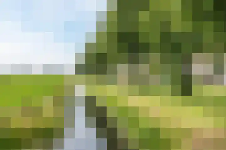 Hooftweg 69 Geervliet thumbnail 46