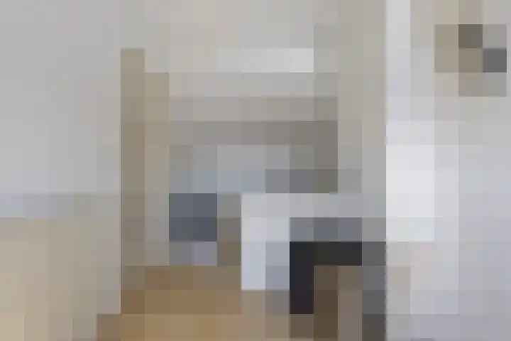 Hooftweg 73 Geervliet thumbnail 33