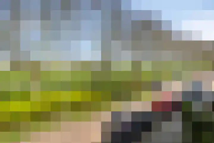 Hooftweg 73 Geervliet thumbnail 40