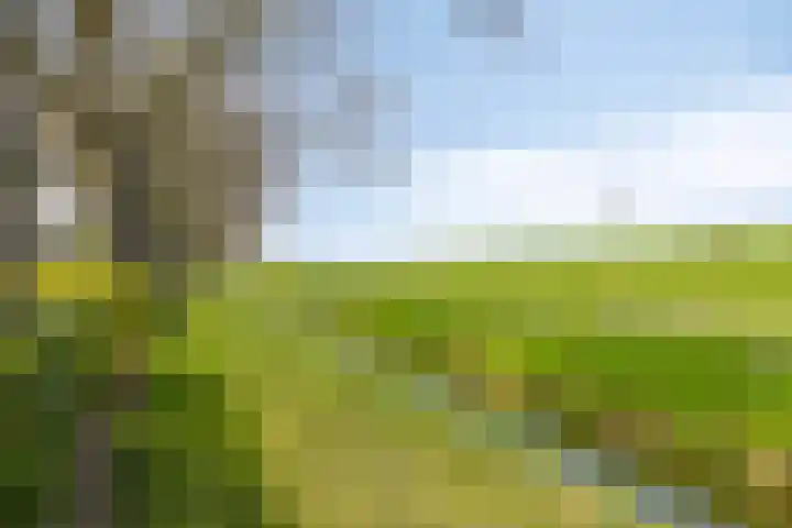 Hooftweg 73 Geervliet thumbnail 41