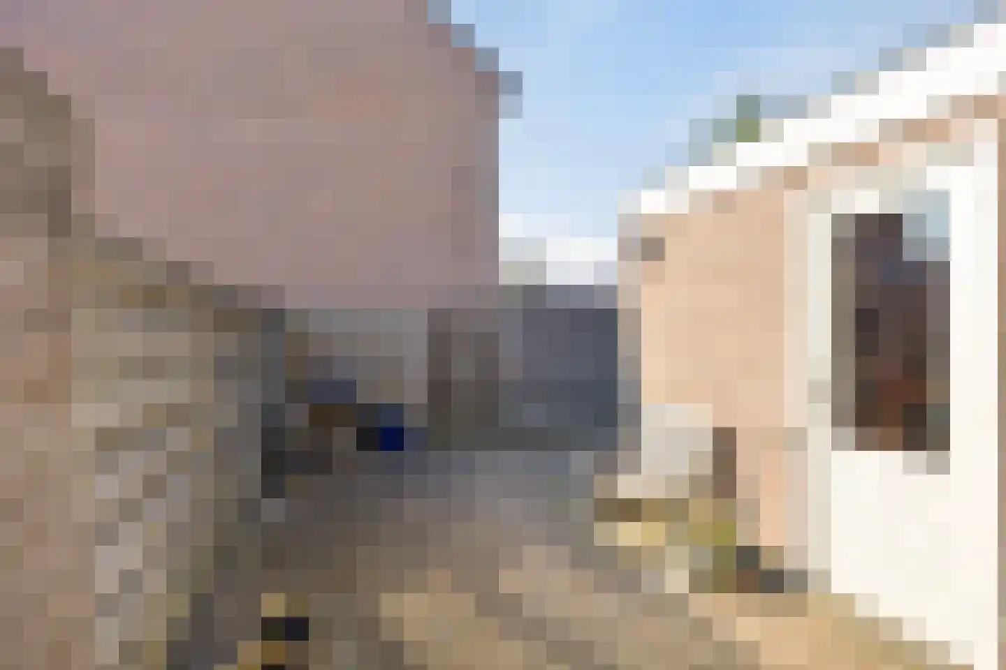 Hooftwende 5 Hillegom thumbnail 27