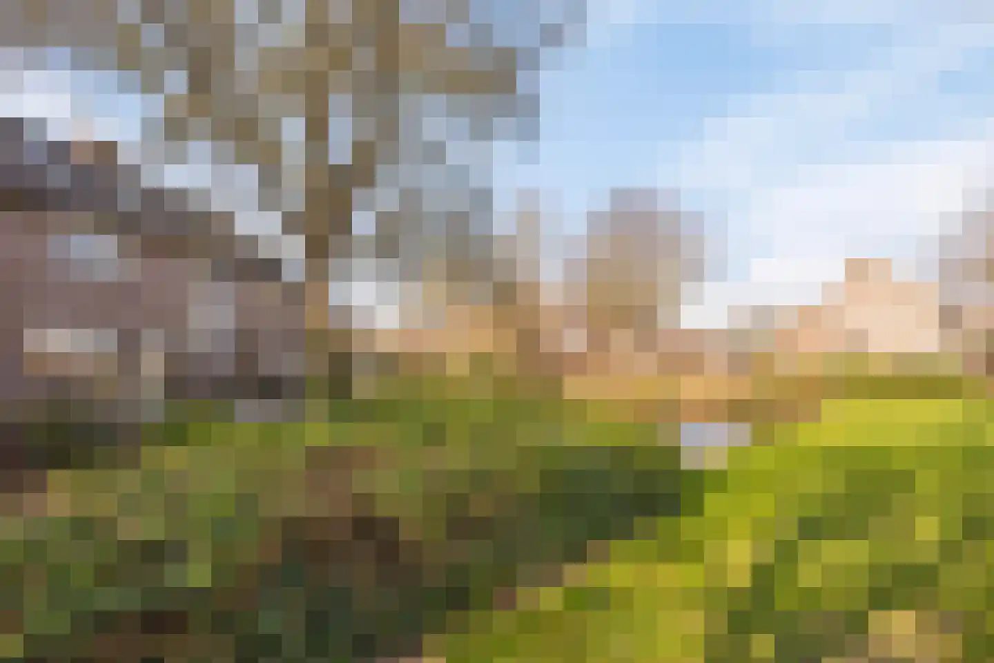 Hooftwende 5 Hillegom thumbnail 31