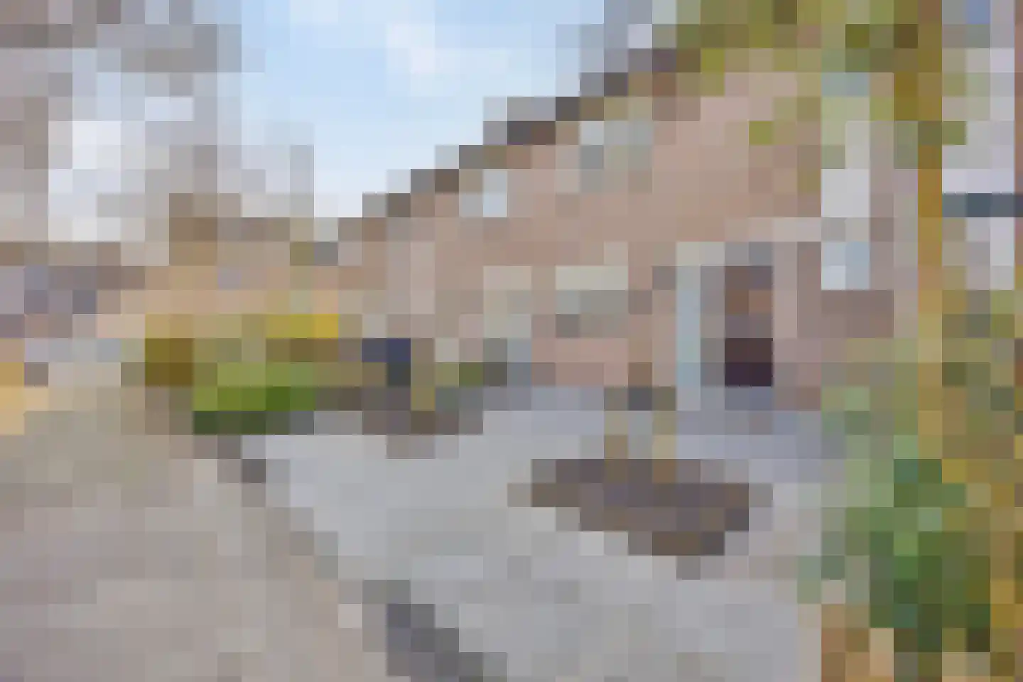 Hooftwende 5 Hillegom thumbnail 6