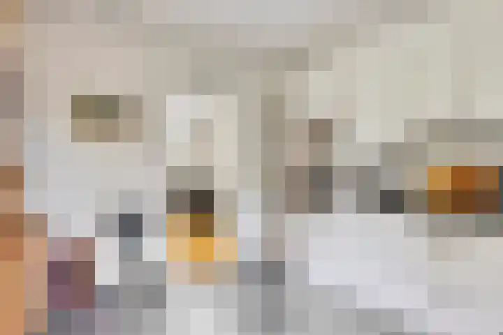 Hoog Barge 21 Eefde thumbnail 10
