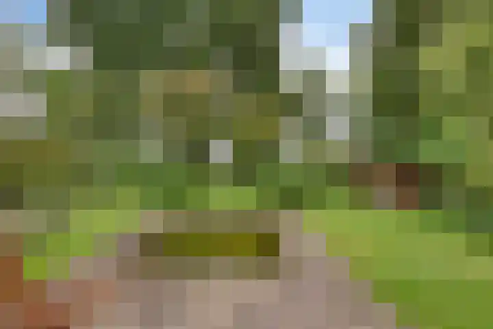 Hoog Barge 21 Eefde thumbnail 21