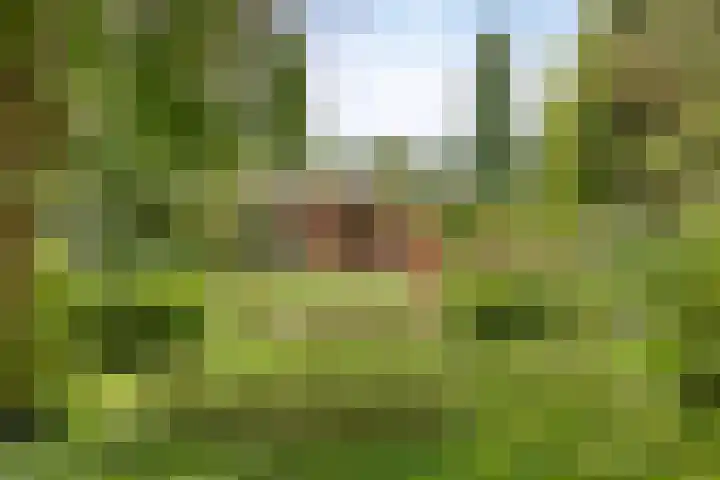 Hoog Barge 21 Eefde thumbnail 23