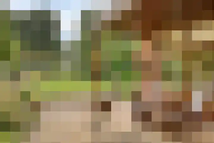 Hoog Barge 21 Eefde thumbnail 25