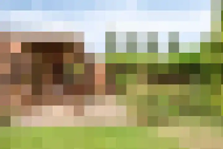 Hoog Barge 21 Eefde thumbnail 26