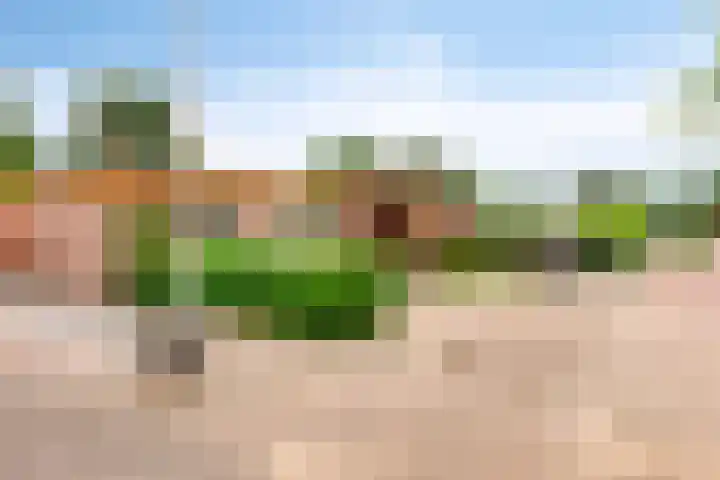 Hoog Barge 21 Eefde thumbnail 30